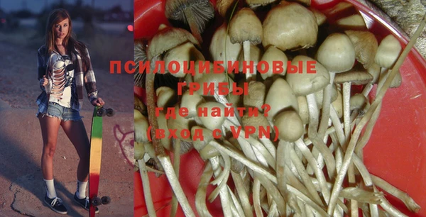 таблы Каменка
