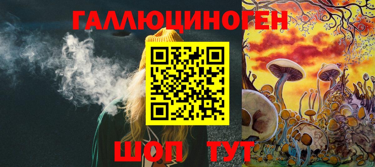 Псилоцибиновые грибы Psilocybine cubensis Димитровград