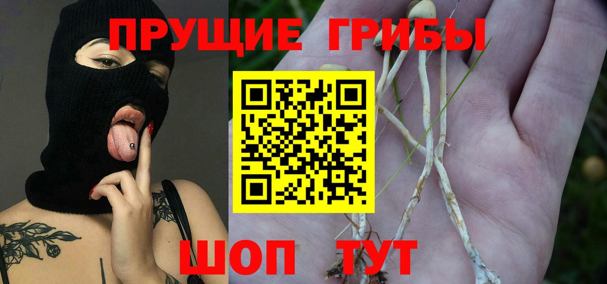 Псилоцибиновые грибы мухоморы  дарнет шоп  Димитровград 