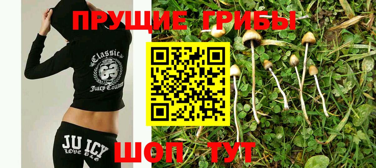 Димитровград  Псилоцибиновые грибы мухоморы  Вход с VPN 